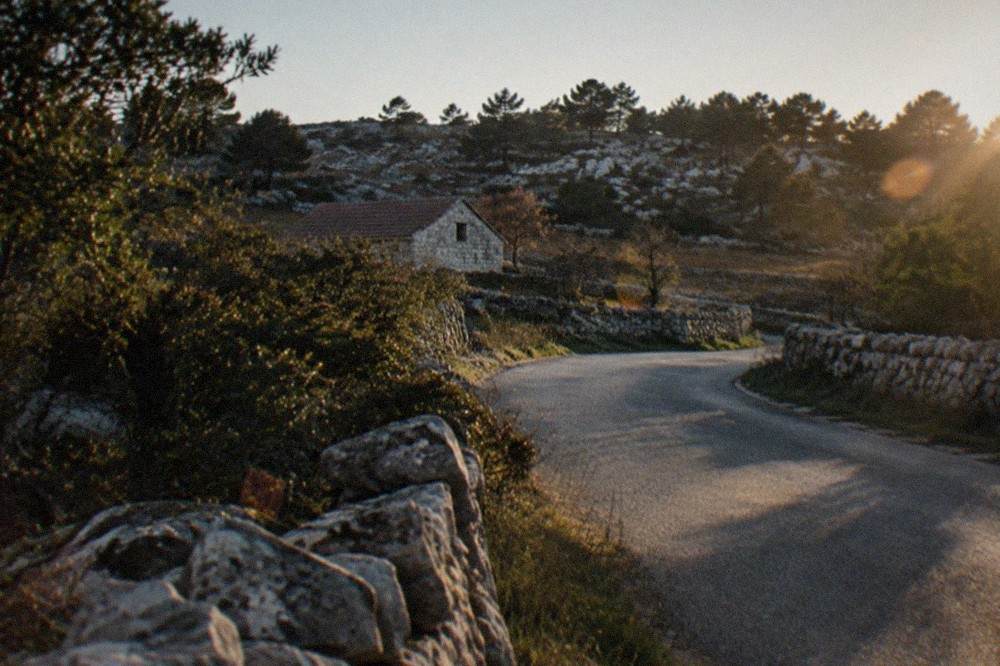 A quiet country road on the karst plateau near Trieste, with dry stone walls, scrubby woodland and a small road sign at the roadside