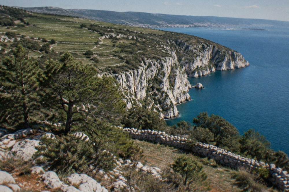 White limestone Karst cliffs above the Adriatic coastline near Trieste, with vineyard terraces on the plateau