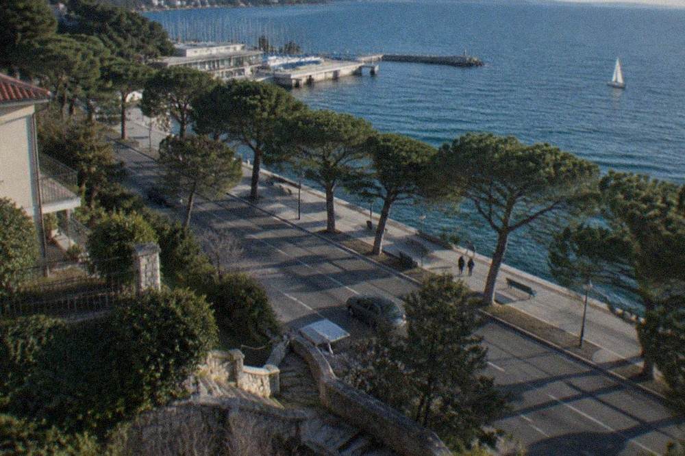 Pine trees shading the Barcola promenade with the sea and a sailing club beyond