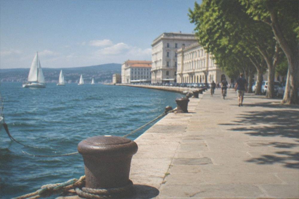 Sailing boats gathered in a gulf in front of a European seafront city