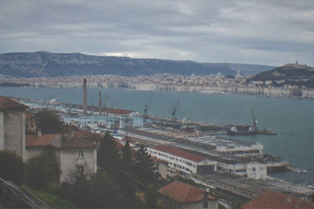 A view across harbour water toward the skyline of Trieste with church domes and a hilltop castle