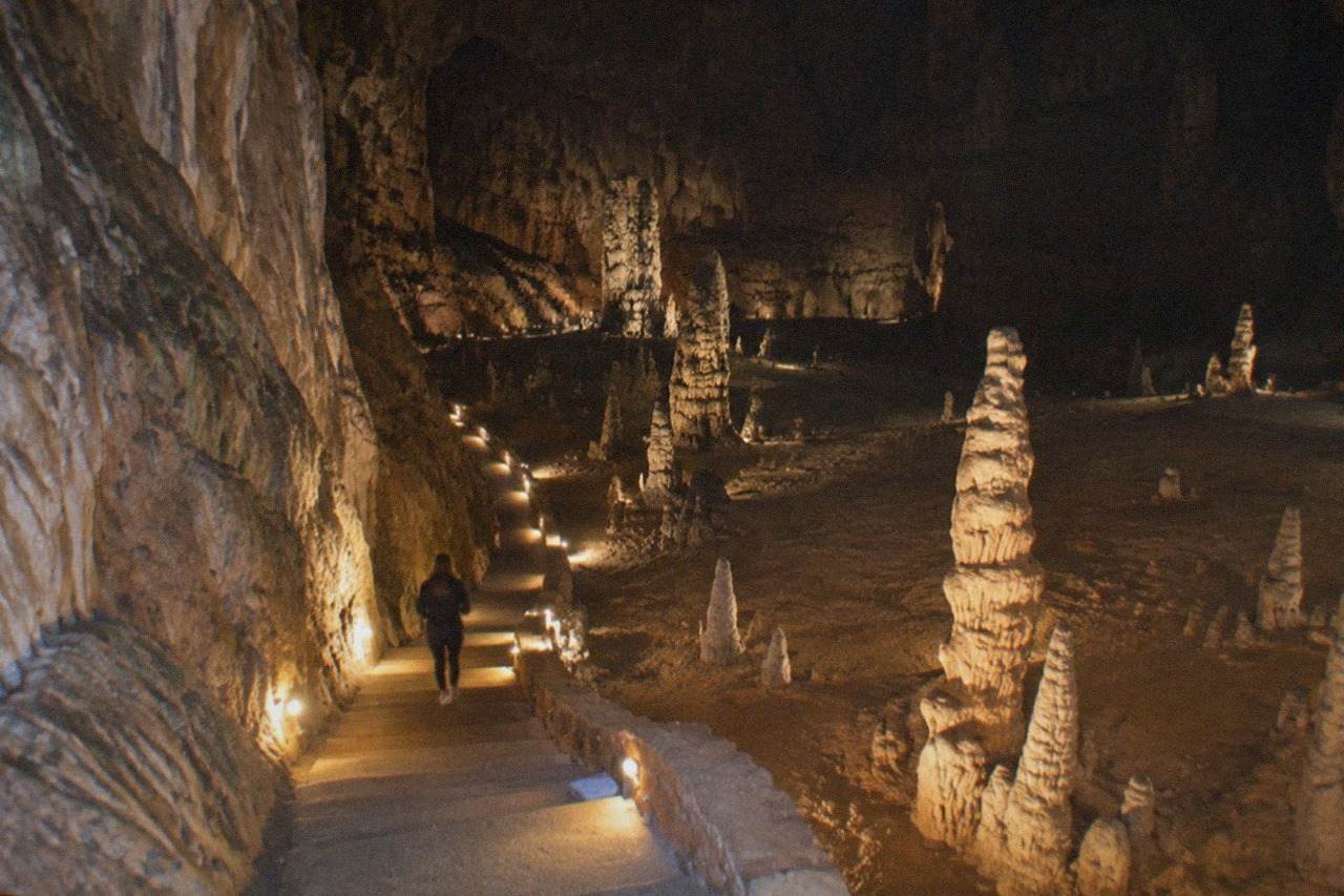 The vast limestone cavern of Grotta Gigante lit by walkway lamps, with a steep illuminated path descending into the darkness