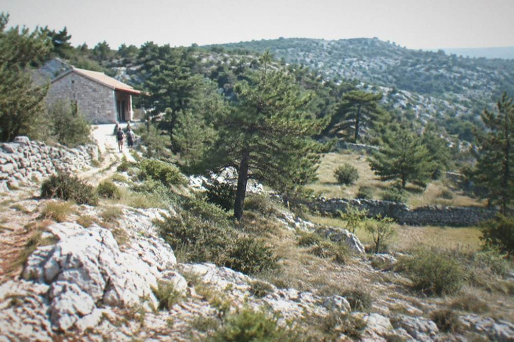 The entrance building and wooded karst hillside at Sgonico on the Trieste Carso plateau