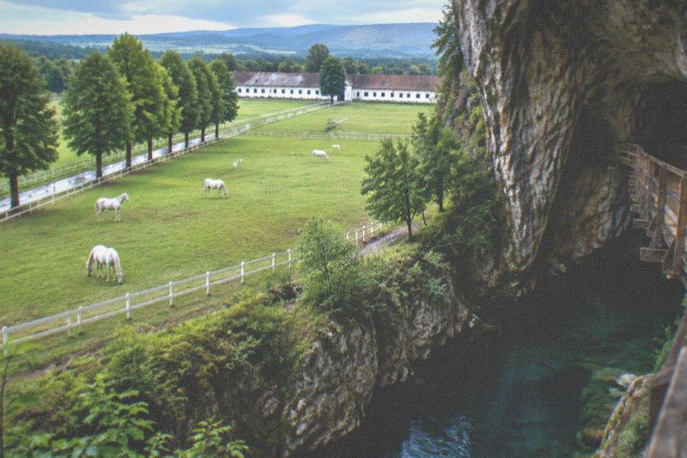 A wooden walkway inside a vast limestone cave canyon with an underground river below