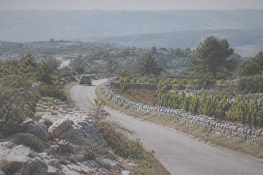 A narrow Karst road lined with dry stone walls and small vineyards
