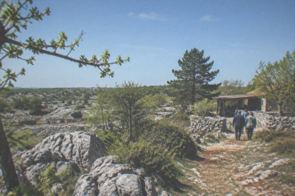 A frasca branch marking the turning to an open osmiza on the Karst plateau