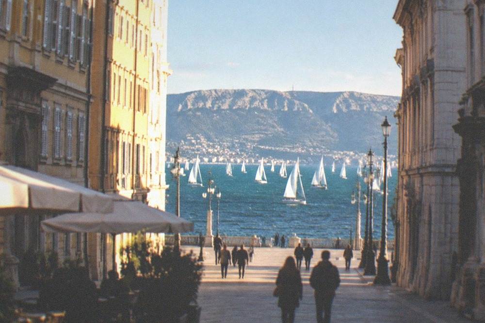 Dozens of white sails crowding the deep green-blue Gulf of Trieste under strong clear light