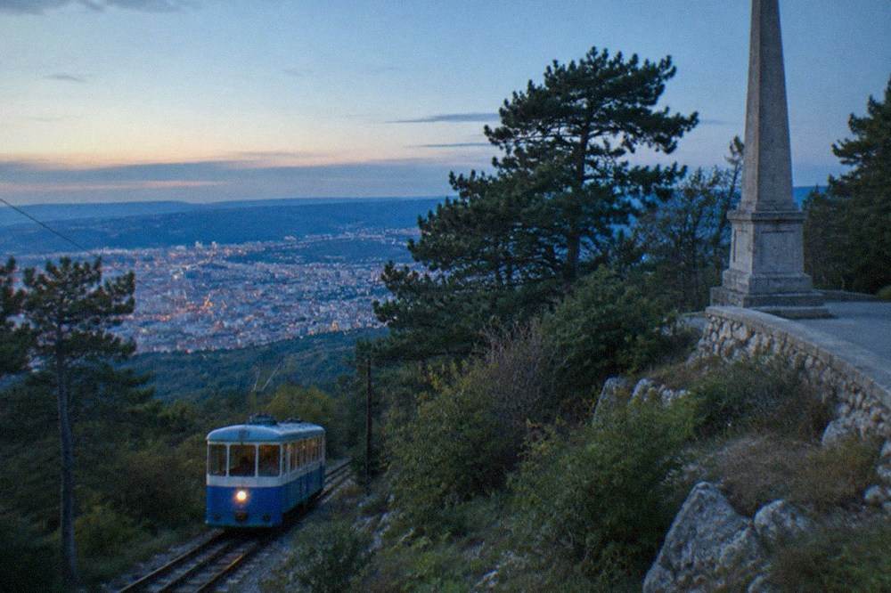 The blue and white Opicina tram on its track climbing through a wooded Karst hillside above Trieste