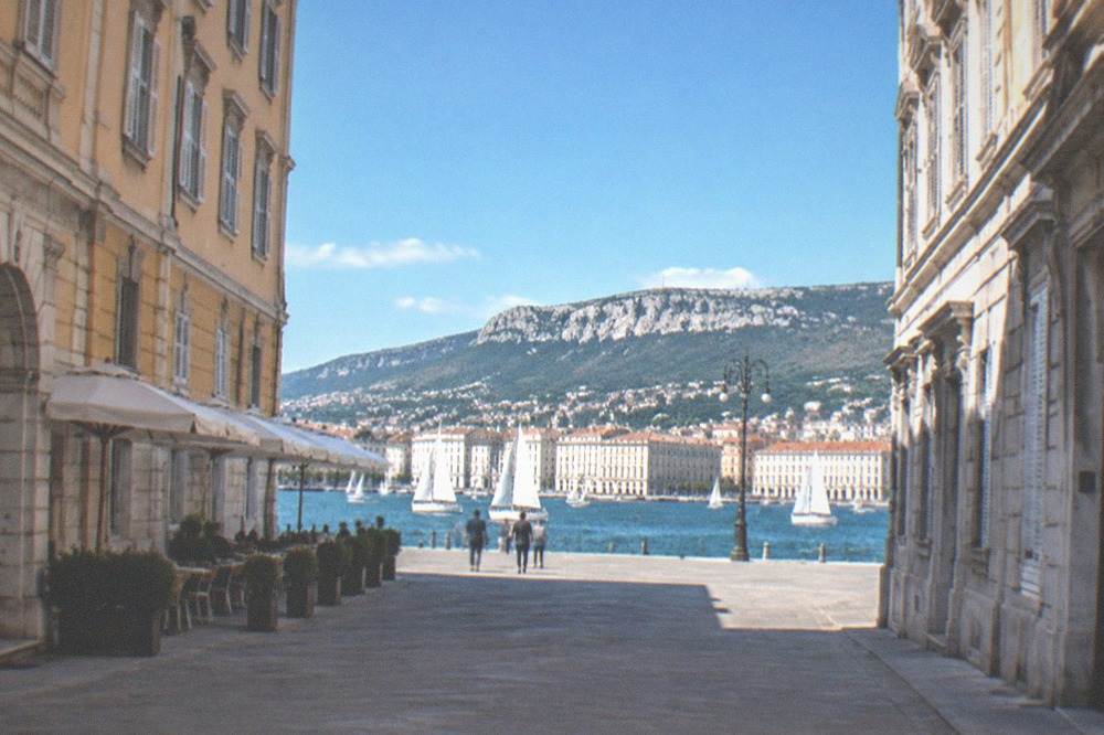 White sails massed on the clear water of the Gulf of Trieste, pale ochre facades behind